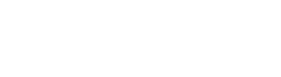 Ridley Mentorship